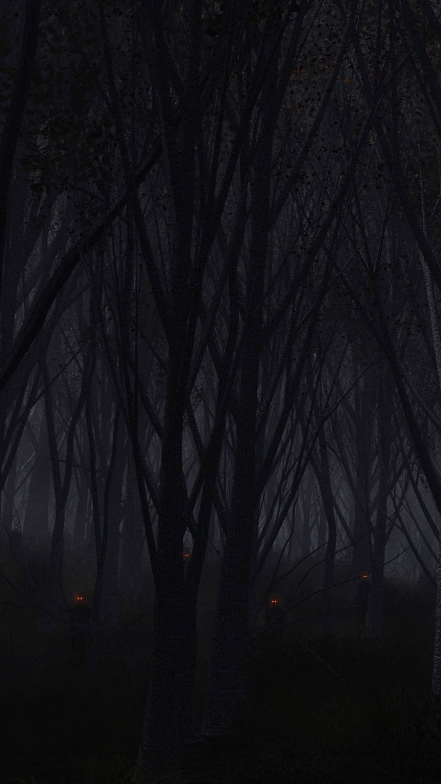 Dark Forest iPhone 5 Wallpaper (640x1136)