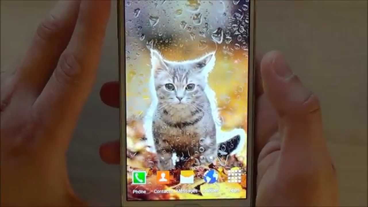 Cute animals live wallpaper - free animated screensaver for