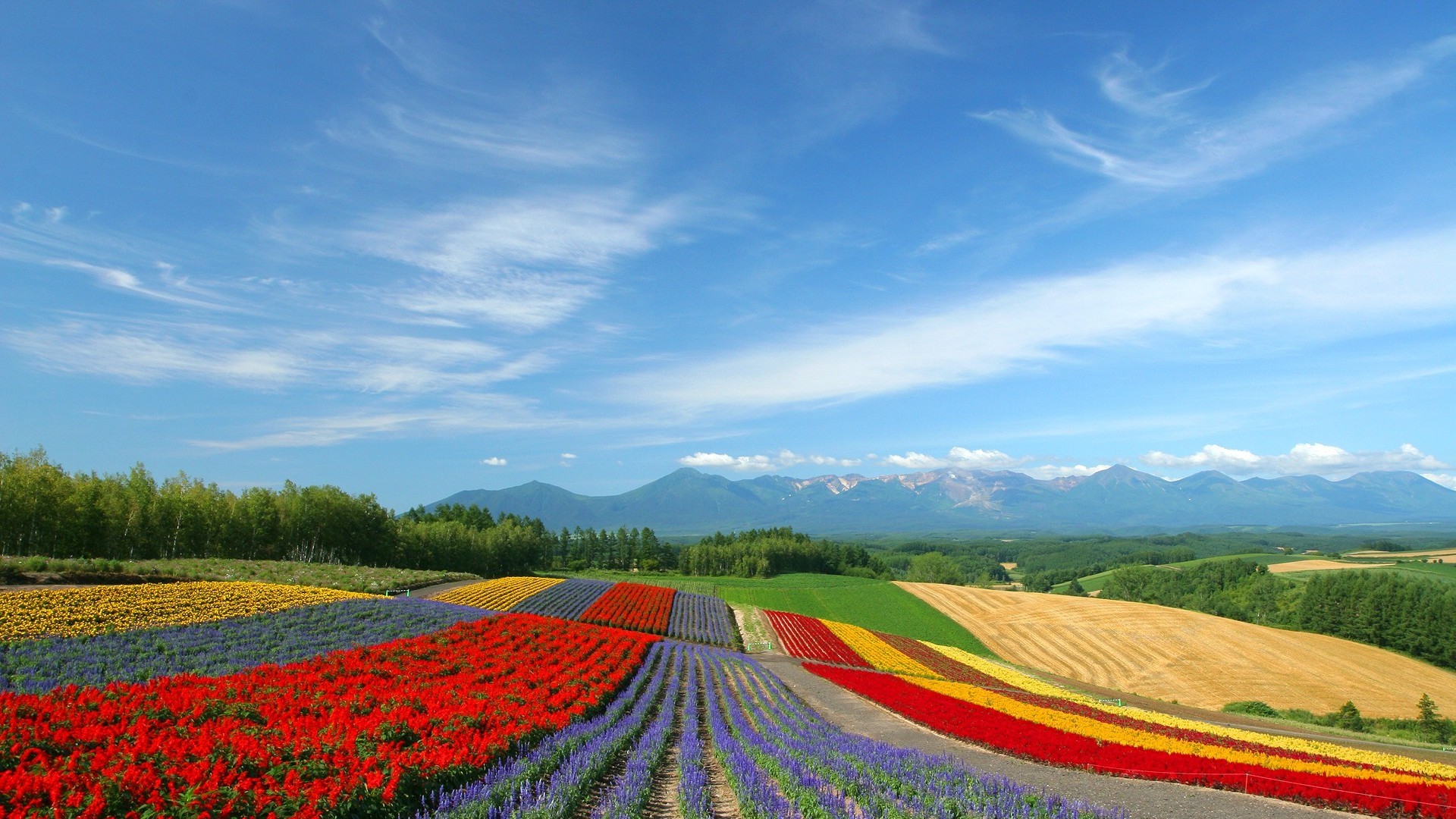 Hokkaido, Japan HD Heavenly Wallpaper Free HD Wallpaper - Download ...