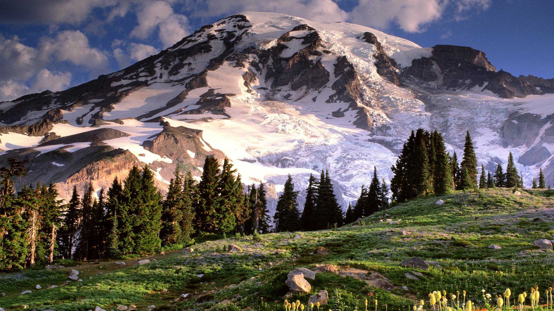 Mount Rainier Backgrounds