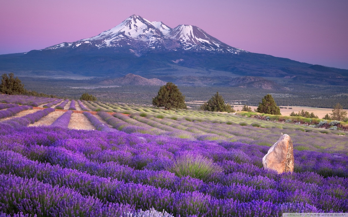 Mount Shasta, California HD desktop wallpaper Widescreen High resolution