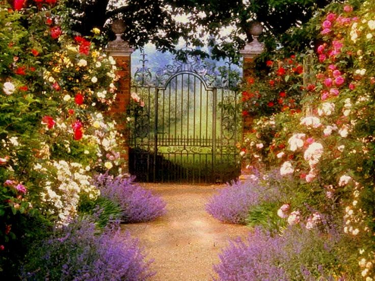 Country Home Gardens - | Welcome to my Dreamland | Pinterest ...