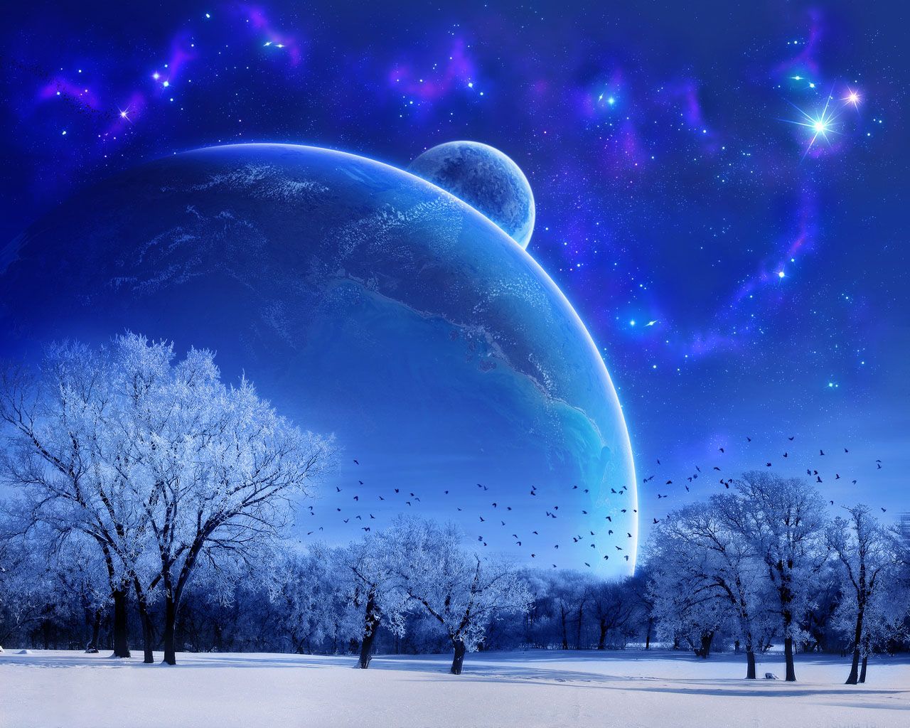 Download Blue Winter Bliss Live Wallpaper | Full HD Wallpapers