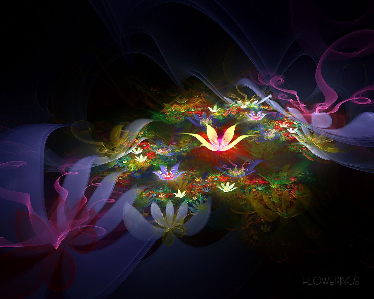 45-amazing-3d-wallpapers-insite-flower-3d-free-computer-wallpapers ...
