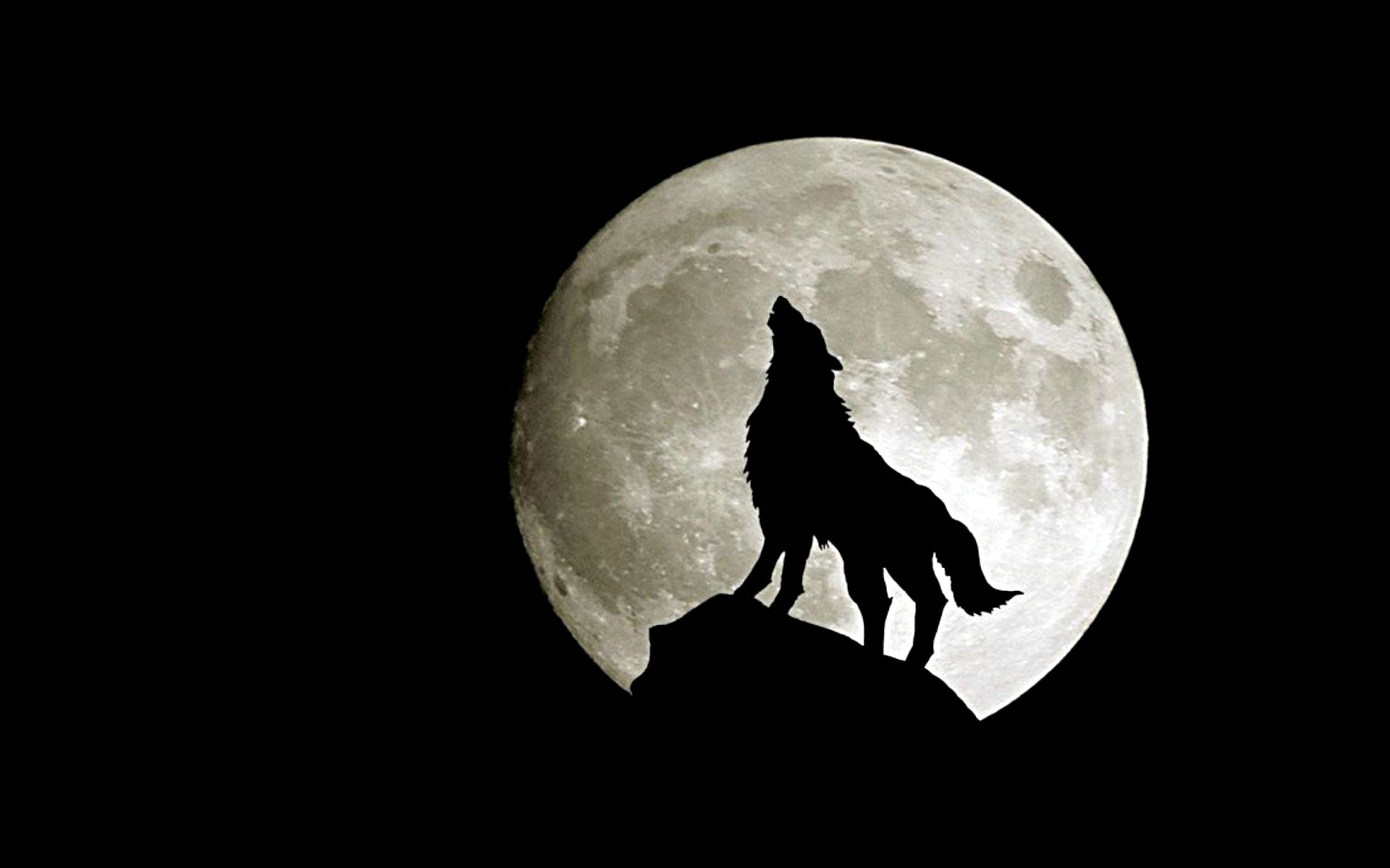 Wolf Moon - Fantasy Wallpaper (28637592) - Fanpop