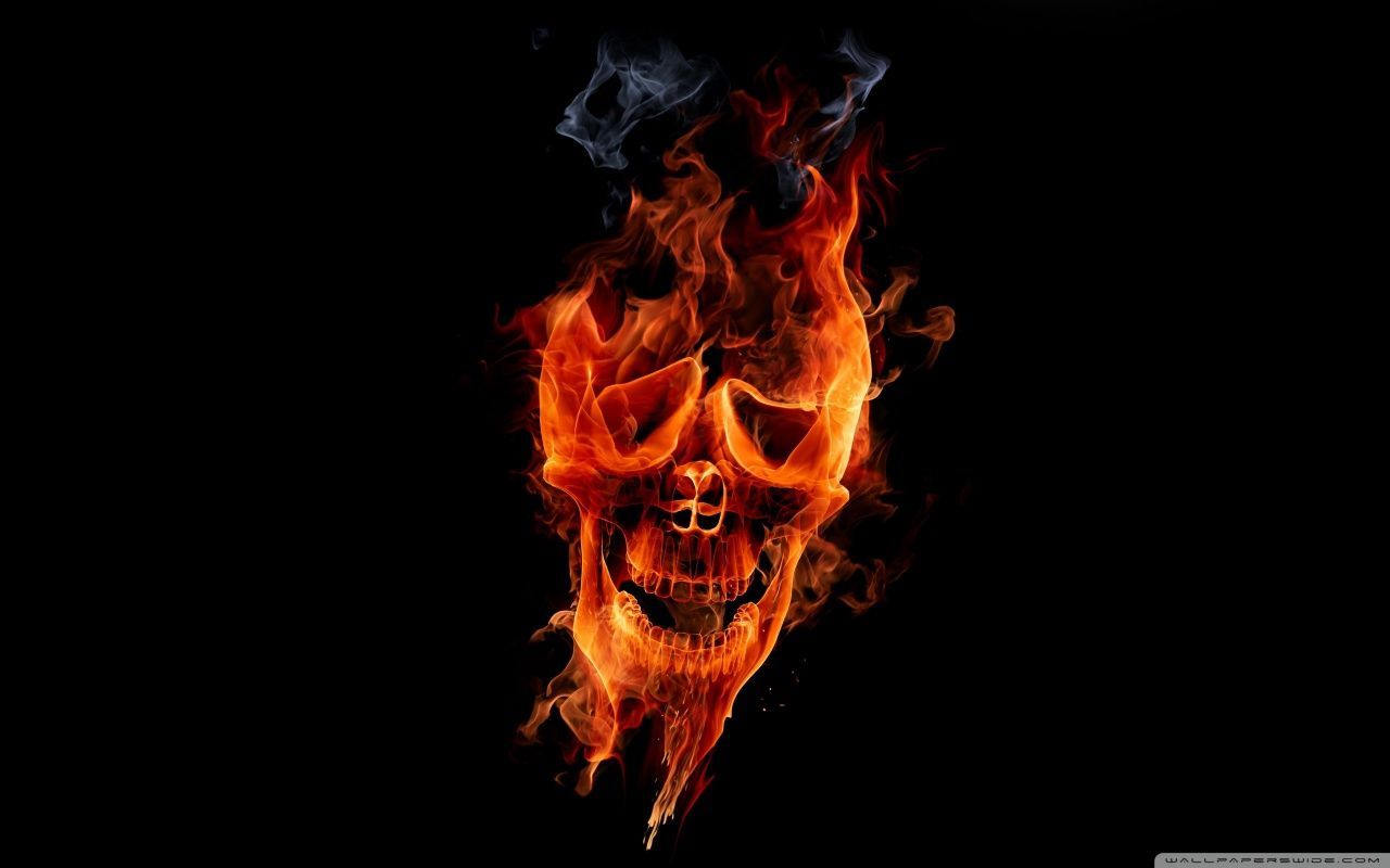 Fire Skull HD desktop wallpaper High Definition Fullscreen