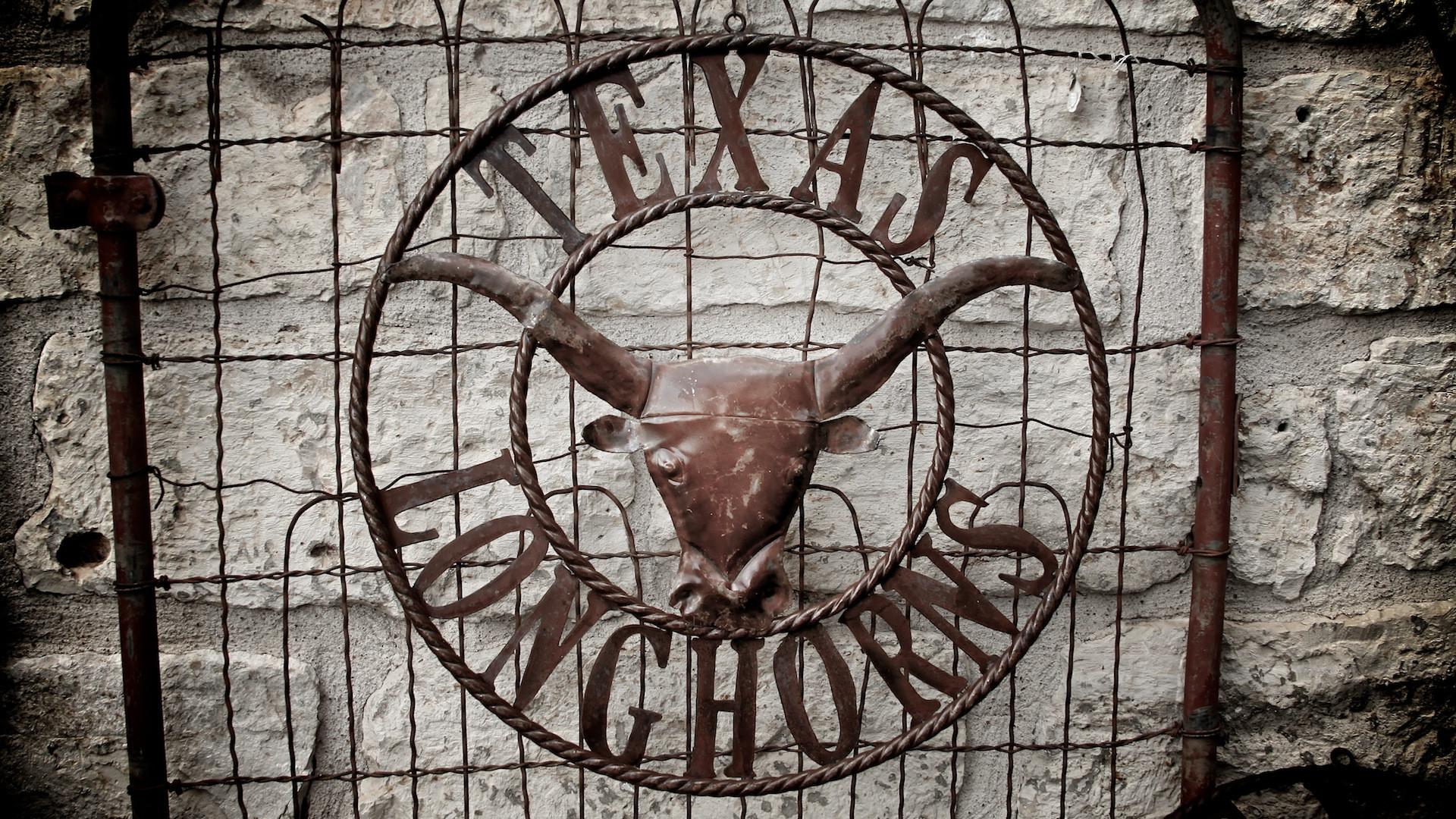 University Of Texas Texas Longhorns | HD Wallpapers Range