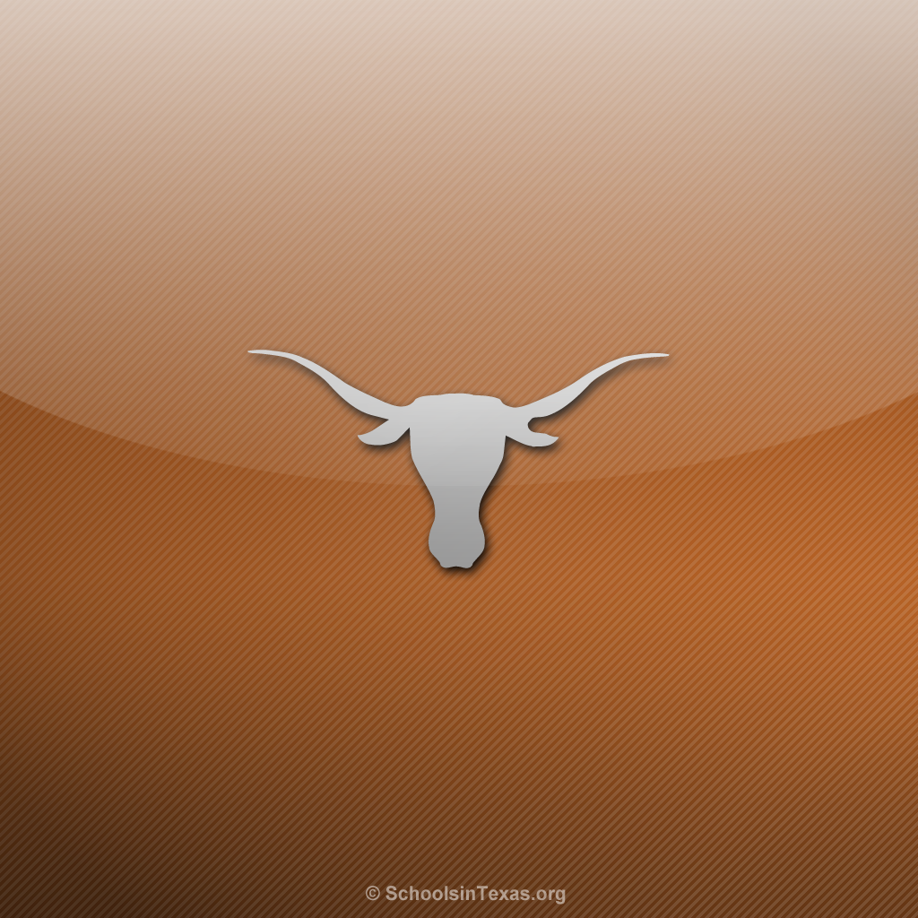 Wallpapers Texas Longhorns Ipad Schools In 1024x1024