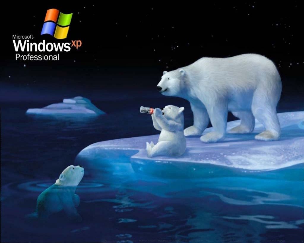 Windows XP 05 Wallpapers - 7869