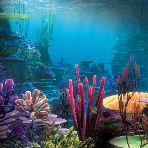 Sea Anemone | iPad Wallpapers