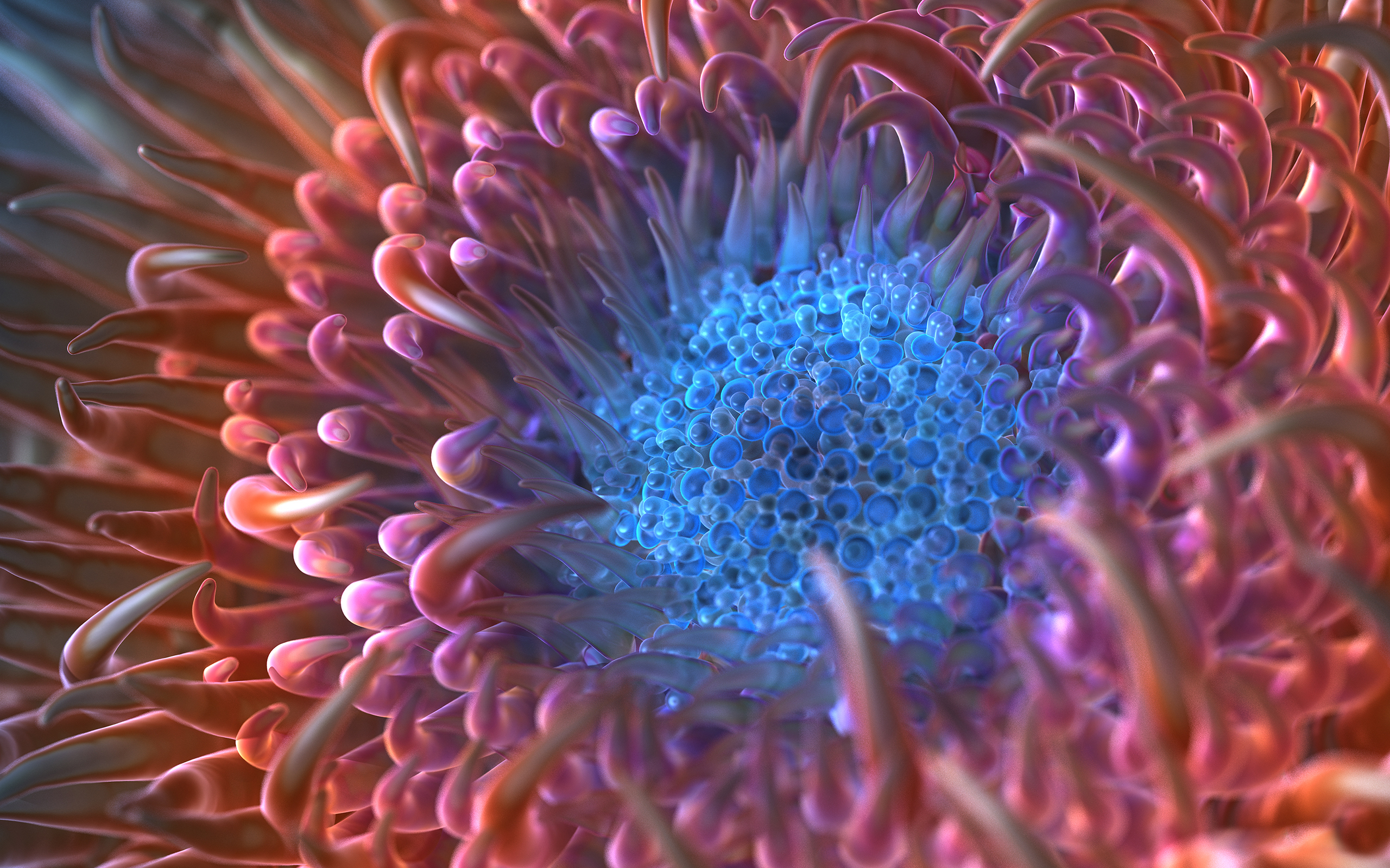 Digital Anemone Flower Wallpapers - HD Wallpapers 103544