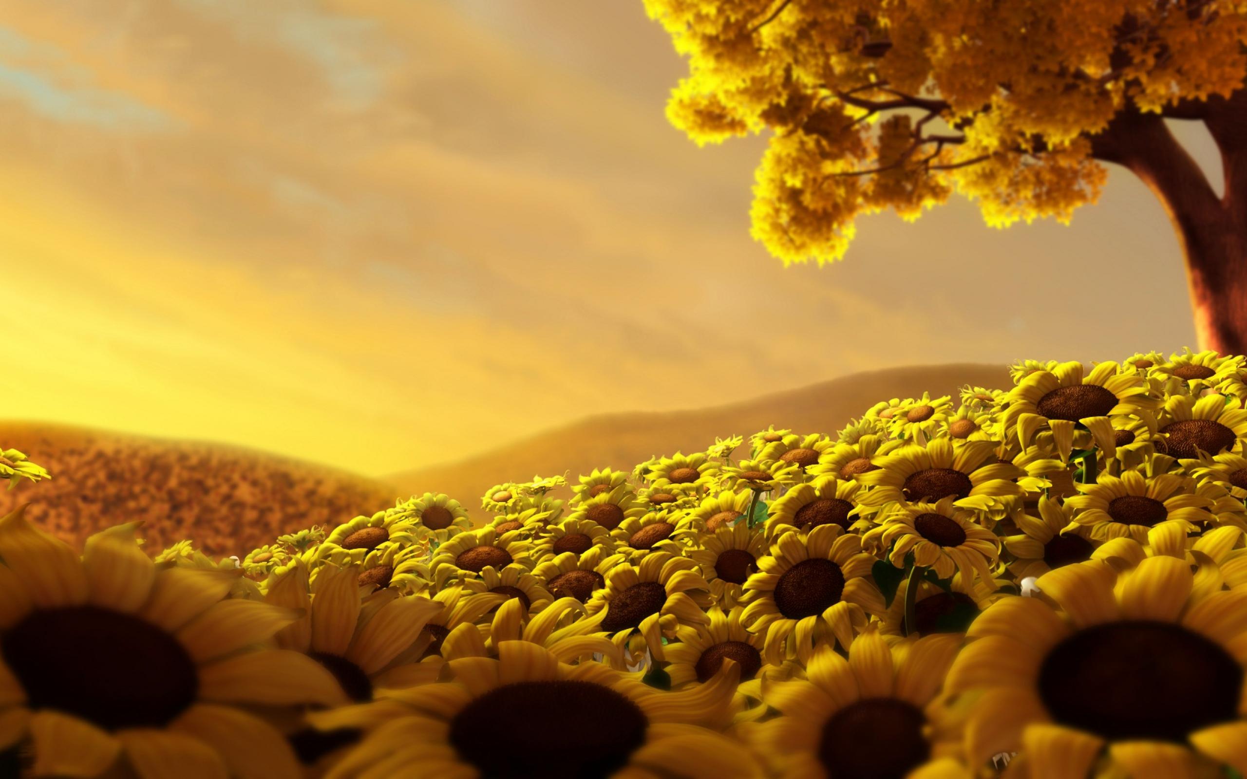 2560x1600 Million Sunflower Garden,Gold Sunflower Desktop