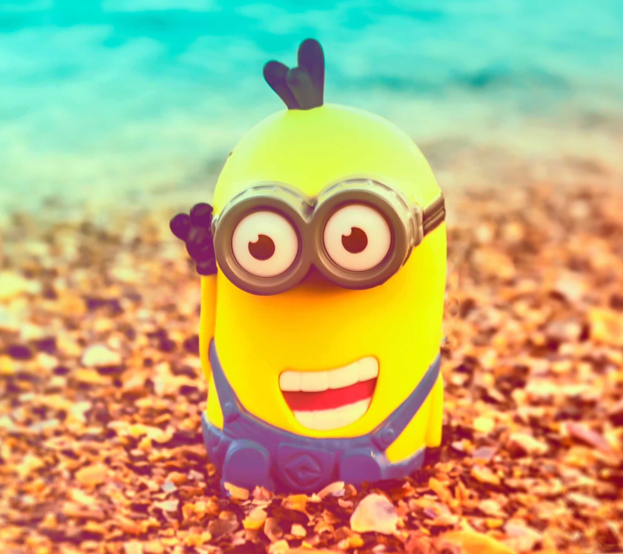 The MinionSamsung Wallpaper Download | Free Samsung Wallpapers ...