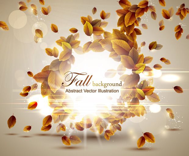 Fall Autumn Backgrounds
