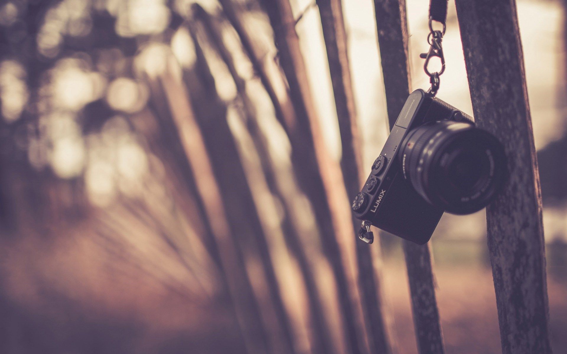 lumix camera, hi-tech, vintage, picture, fence, field, sunset