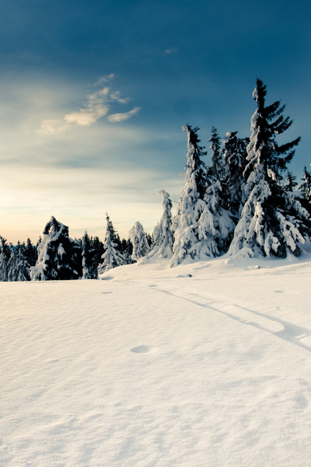 Winter Landscape iPhone 4s Wallpaper Download | iPhone Wallpapers ...
