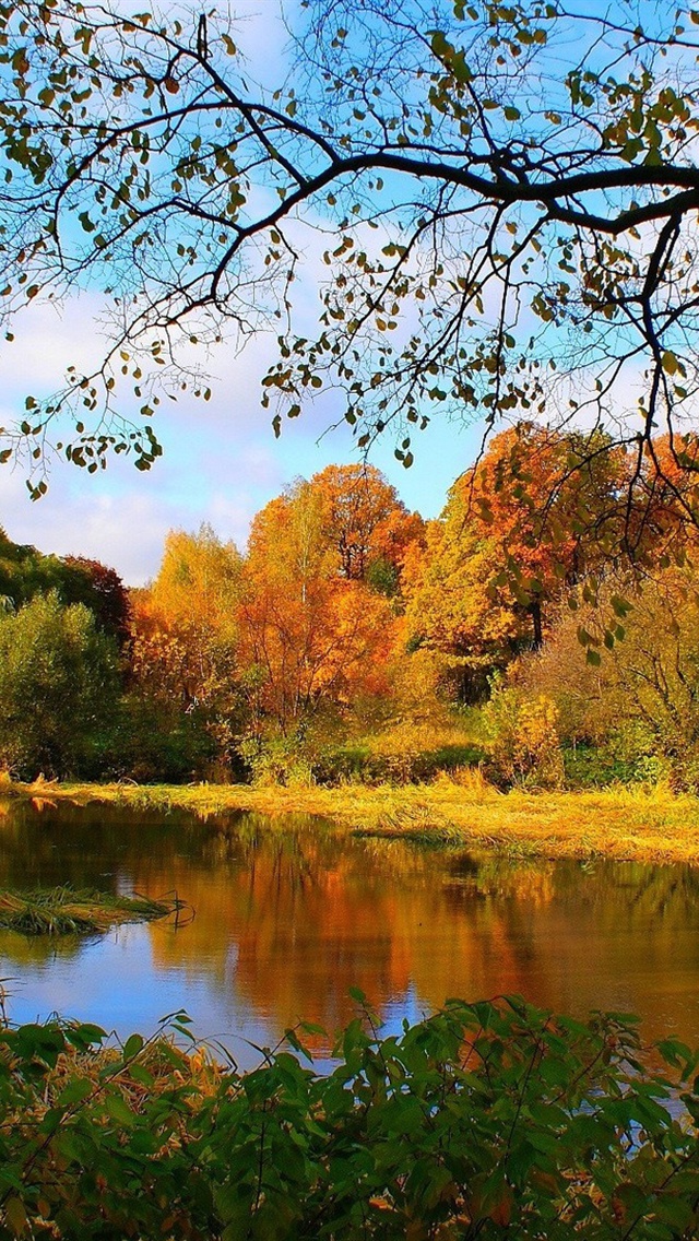 Autumn forest river landscape iPhone Wallpaper | 640x1136 iPhone 5 ...