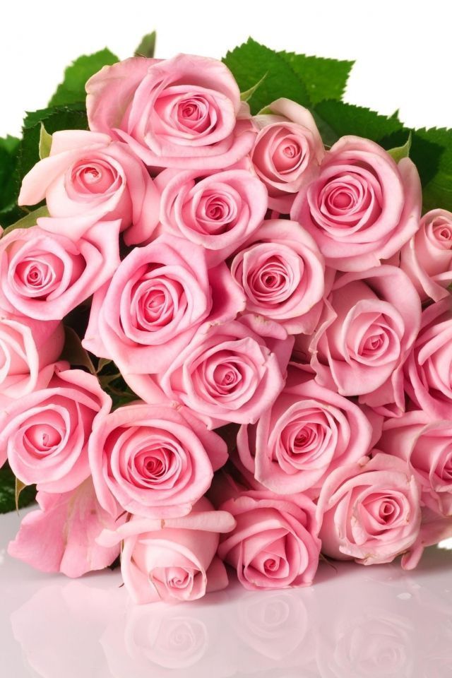 Download Wallpaper 640x960 Roses, Flowers, Pink, Flower, Green ...