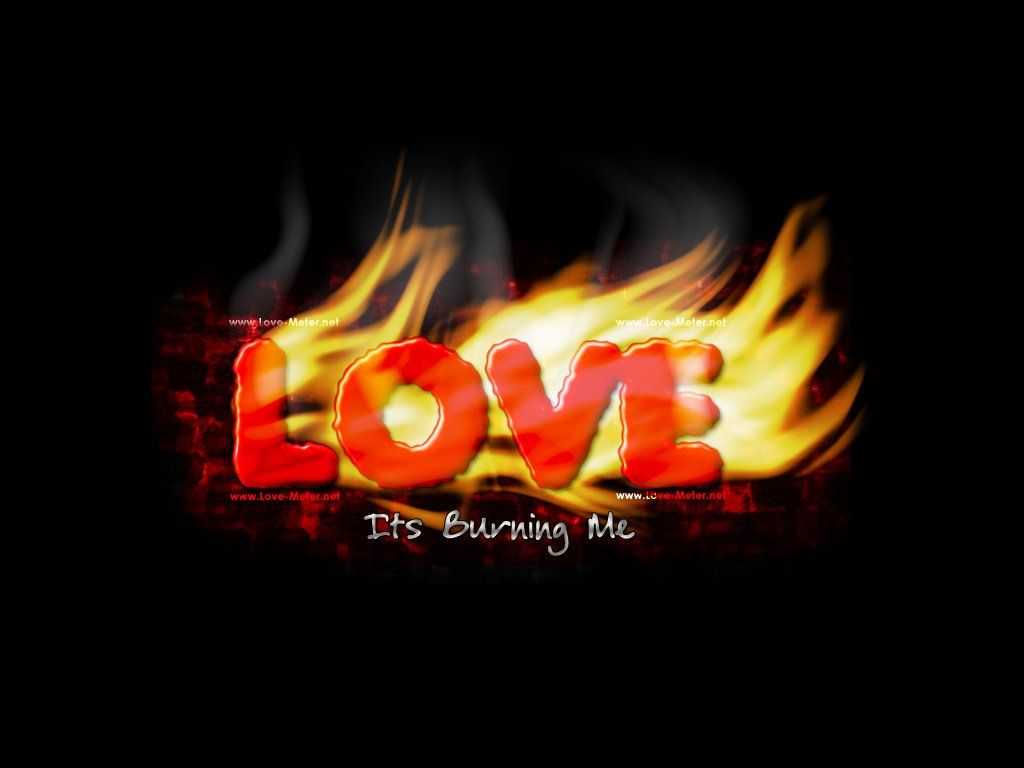 Love on Fire - The word Love on Fire - Love Wallpapers and Love