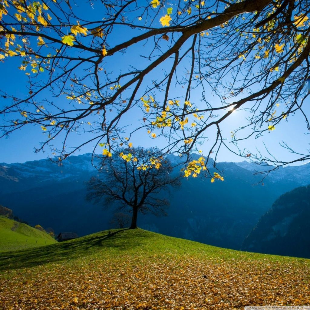 Autumn, Schachental, Switzerland HD desktop wallpaper : High ...