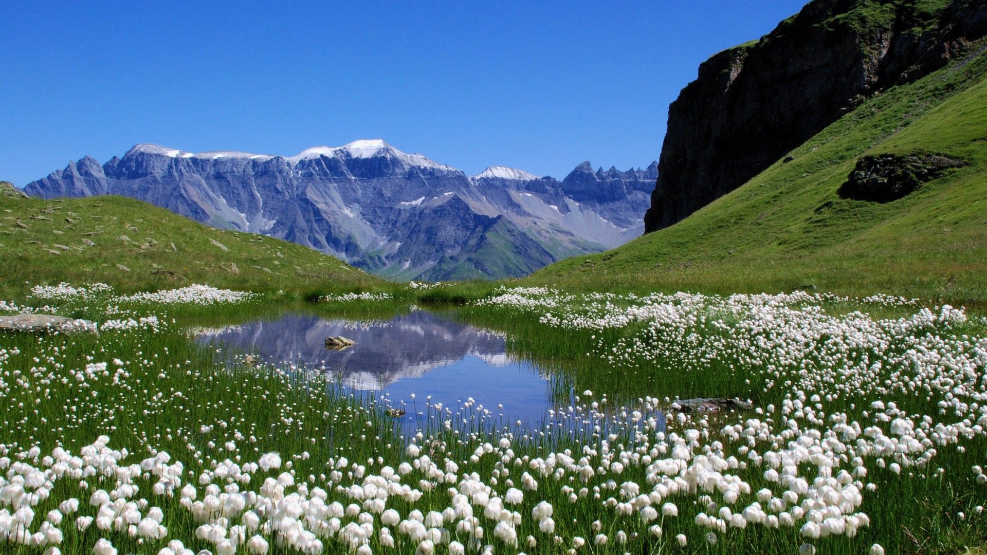 Switzerland Pictures in Summer | Live HD Wallpaper HQ Pictures ...