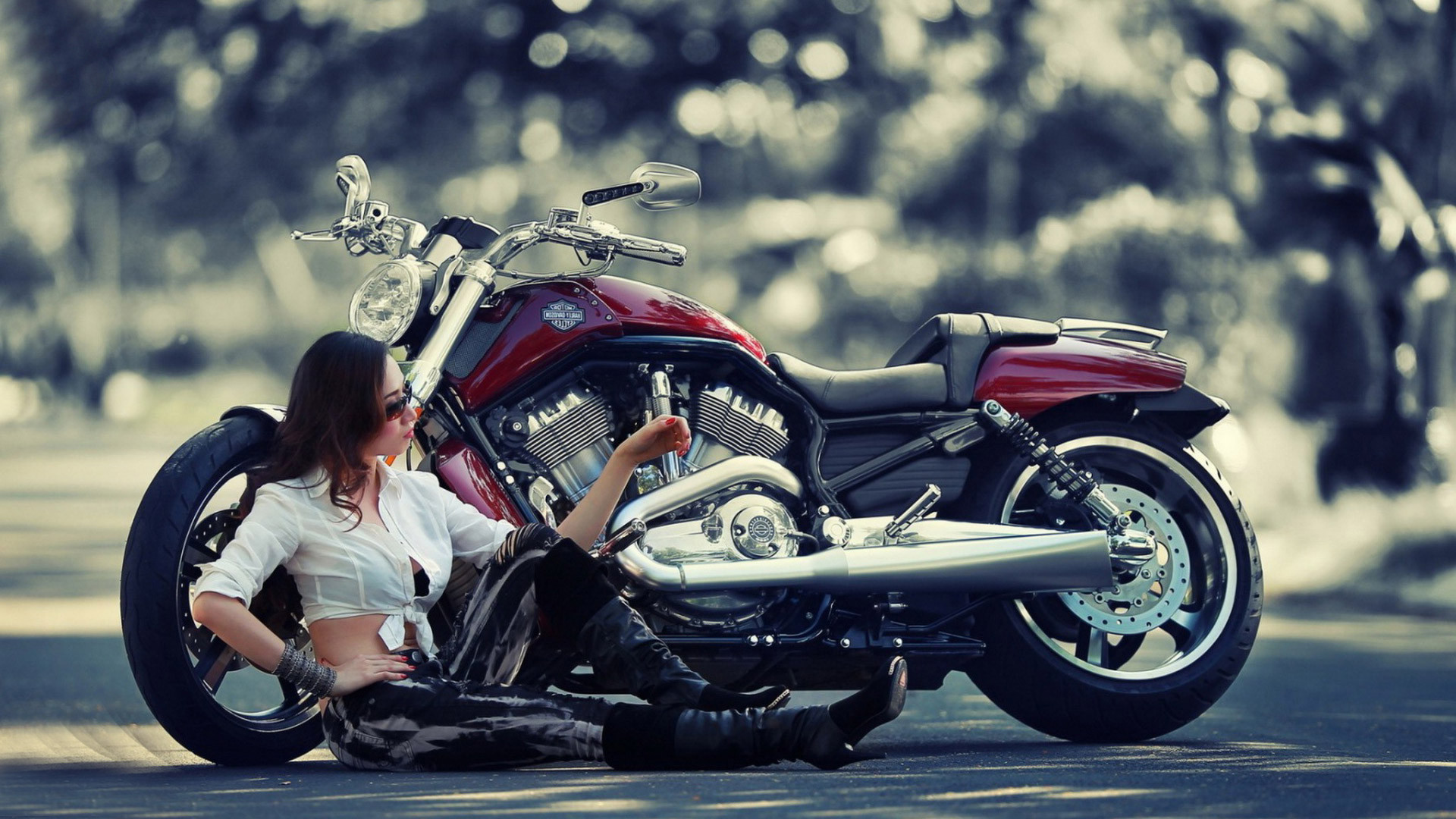 Harley Davidson Wallpapers Collection (33+)