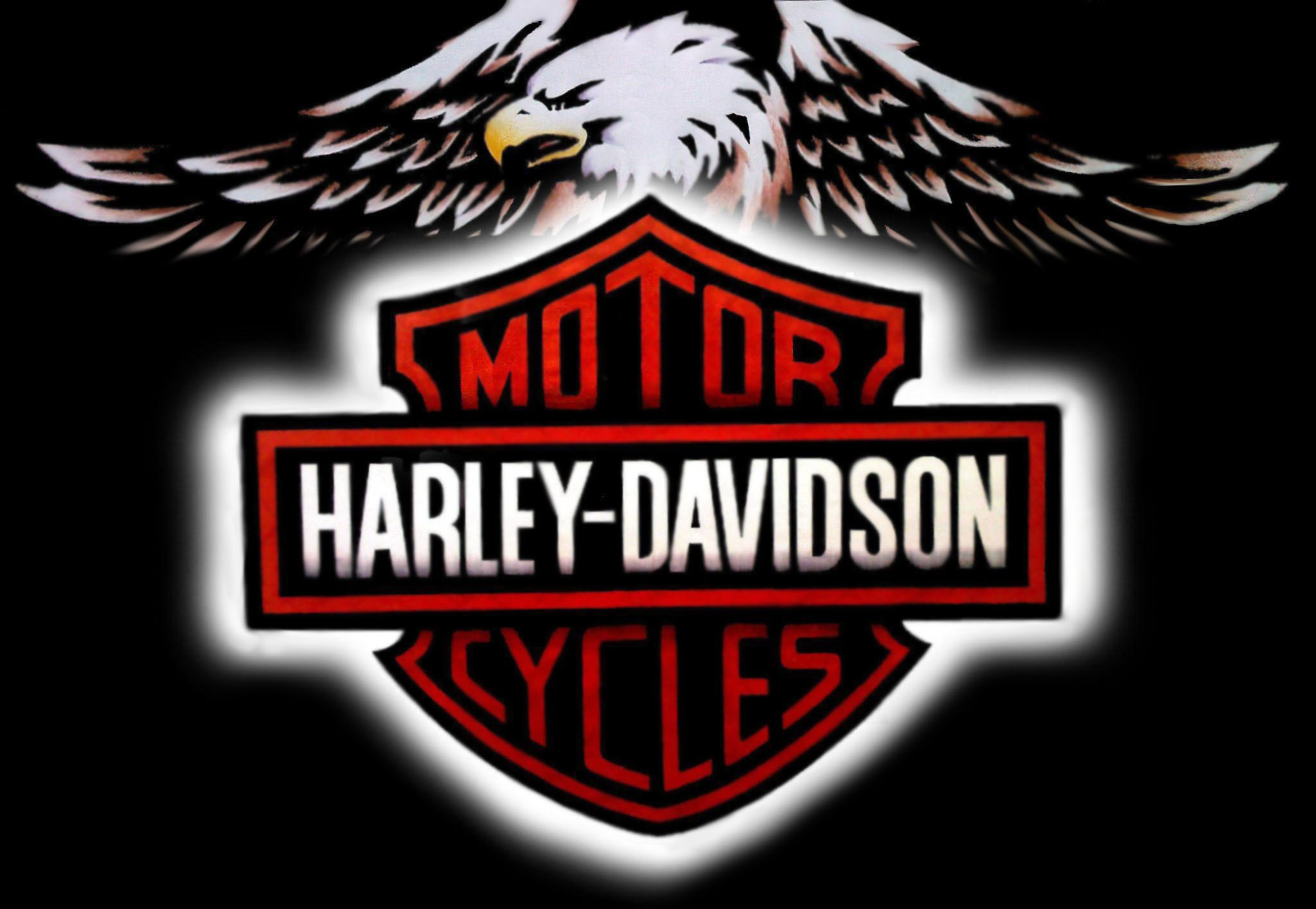 Harley Davidson on Pinterest | Harley Davidson Logo, Harley ...