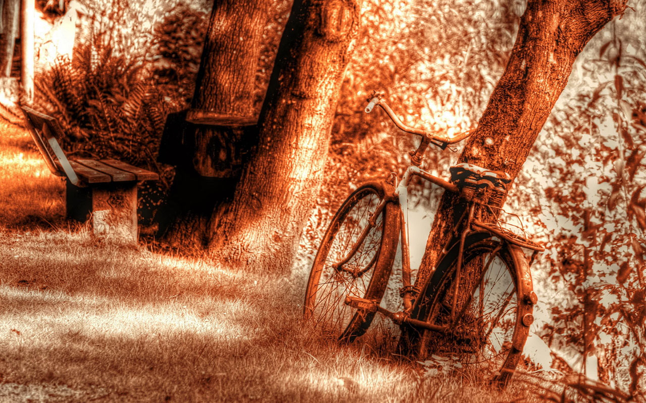 The nostalgic memory bicycles aesthetic photography wallpaper 8 ...