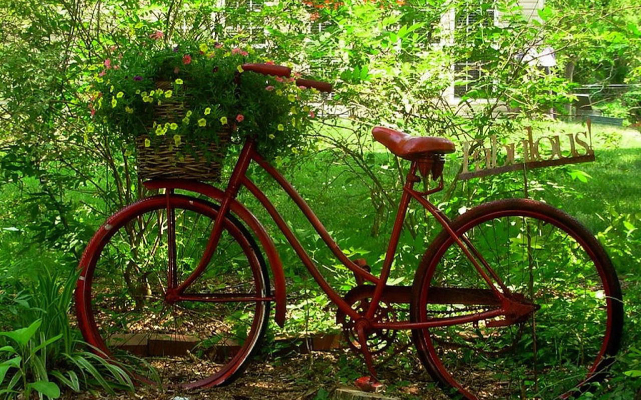 The nostalgic memory bicycles aesthetic photography wallpaper 5 ...