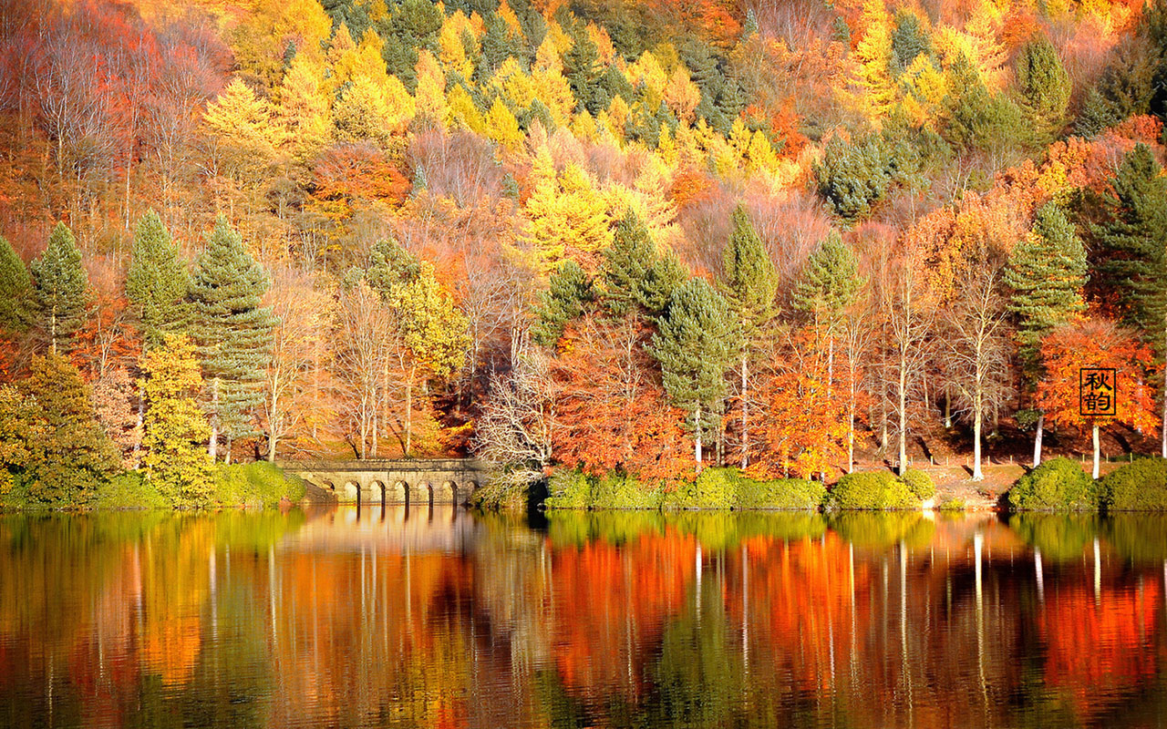 Late autumn seasonal lake views photography wallpaper Landscape
