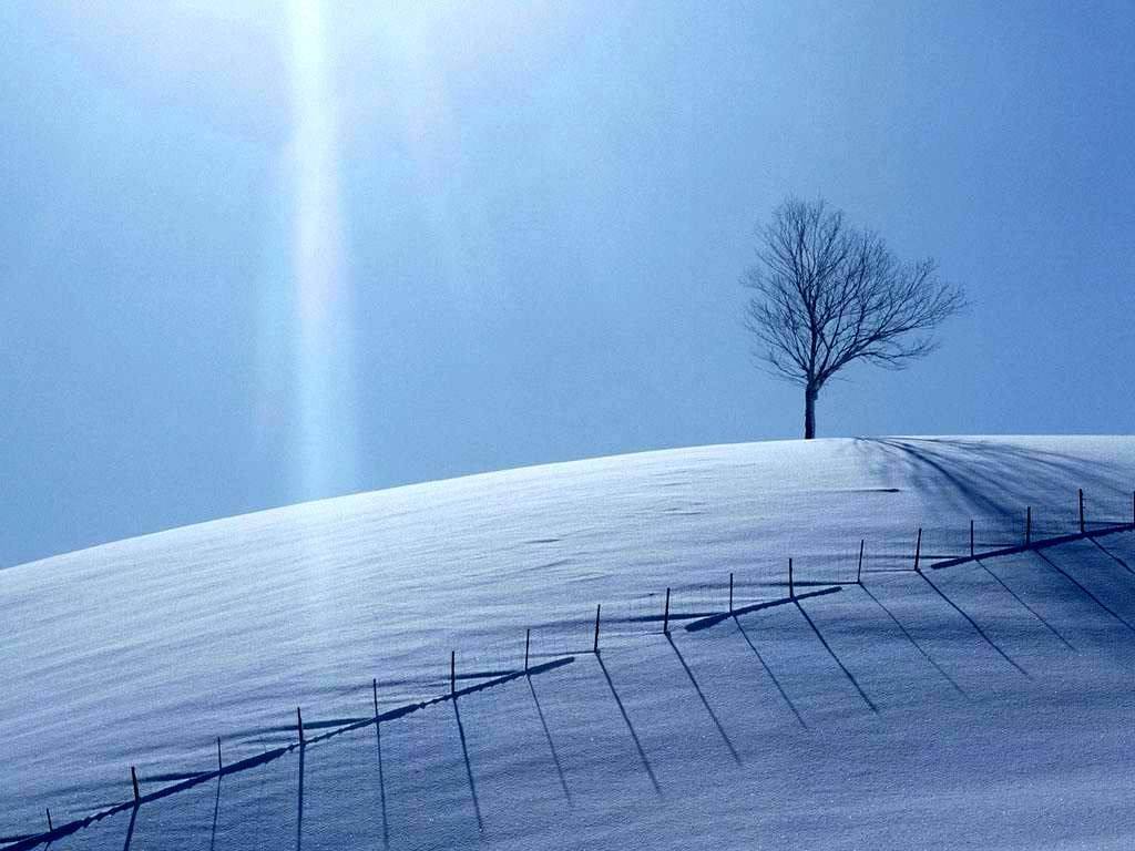 simple looking snow - Nature Wallpaper