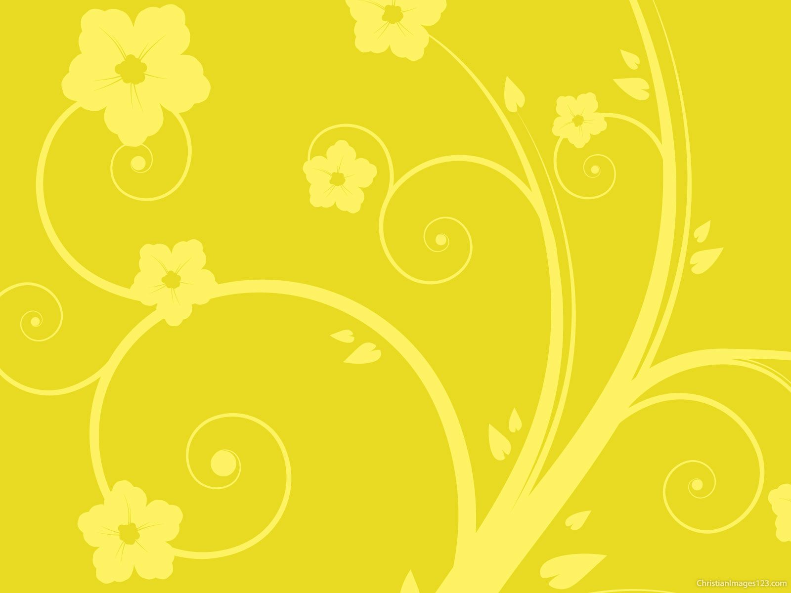 Yellow Flower Background – Free Christian Images