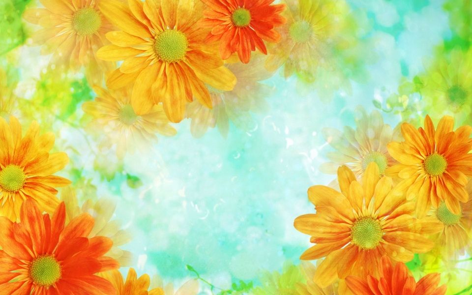 30+ Flower Backgrounds | Backgrounds | DesignTrends