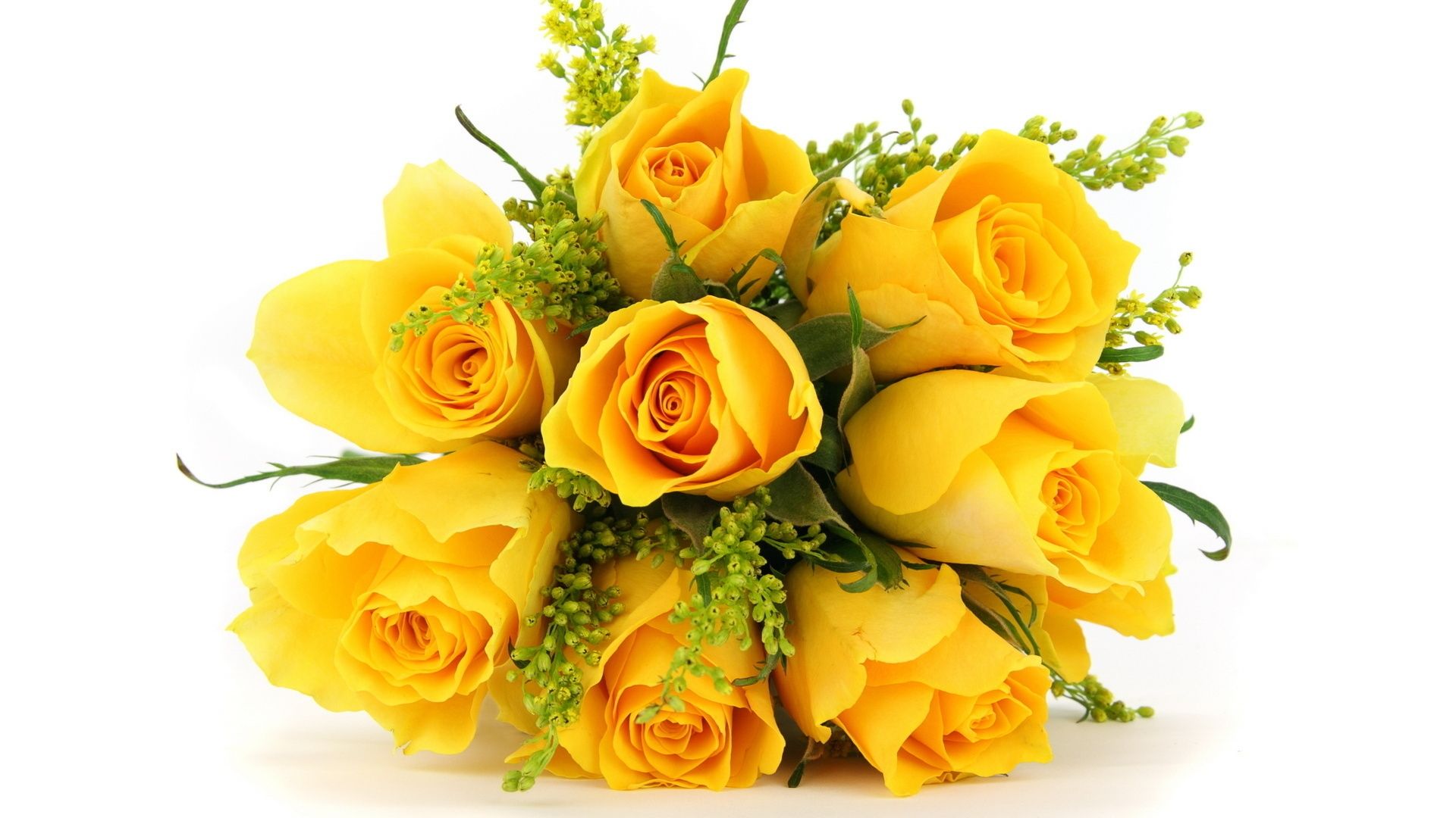 Download Wallpaper 1920x1080 Roses, Flowers, Flower, Yellow, Buds