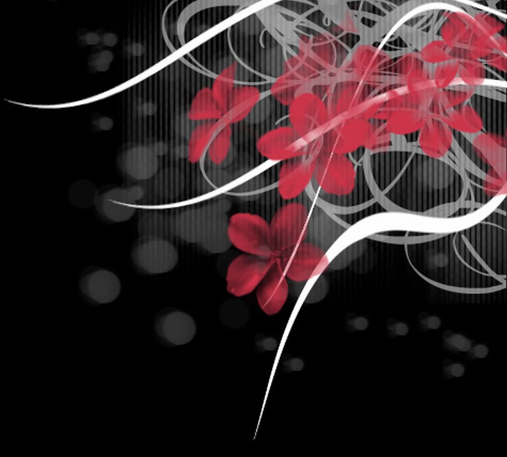 Gallery for - red white and black flower wallpaper