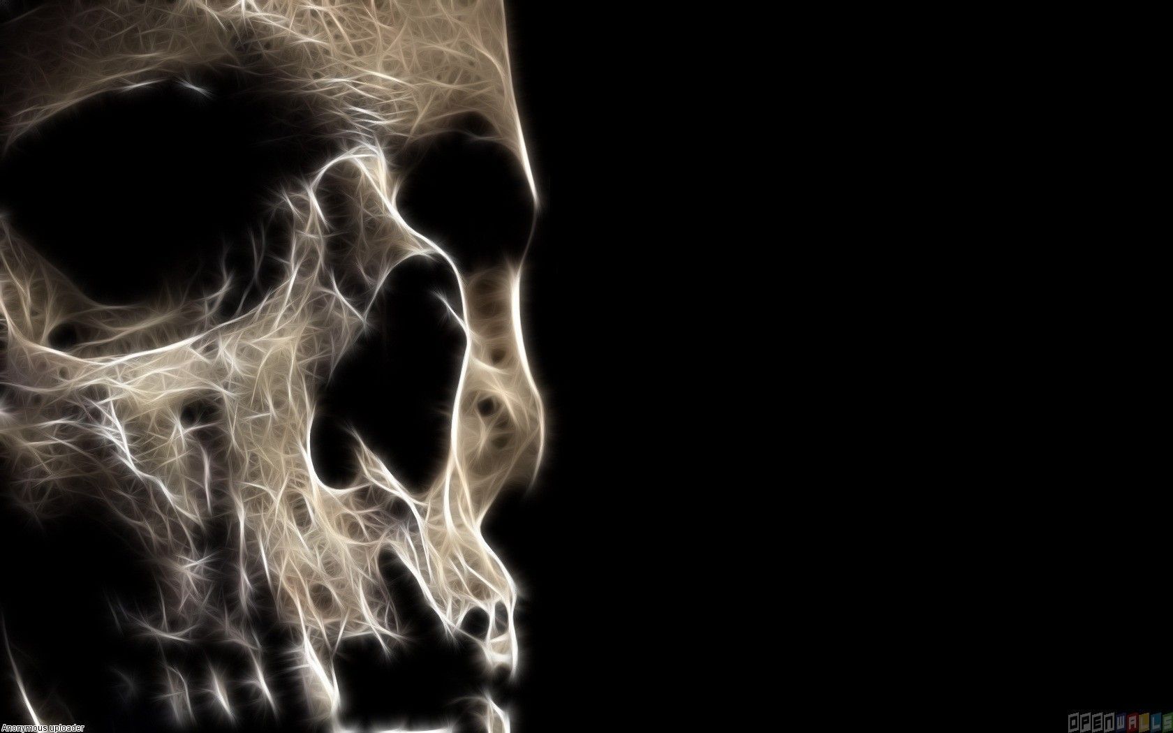 Scary skull wallpapers - Open Walls