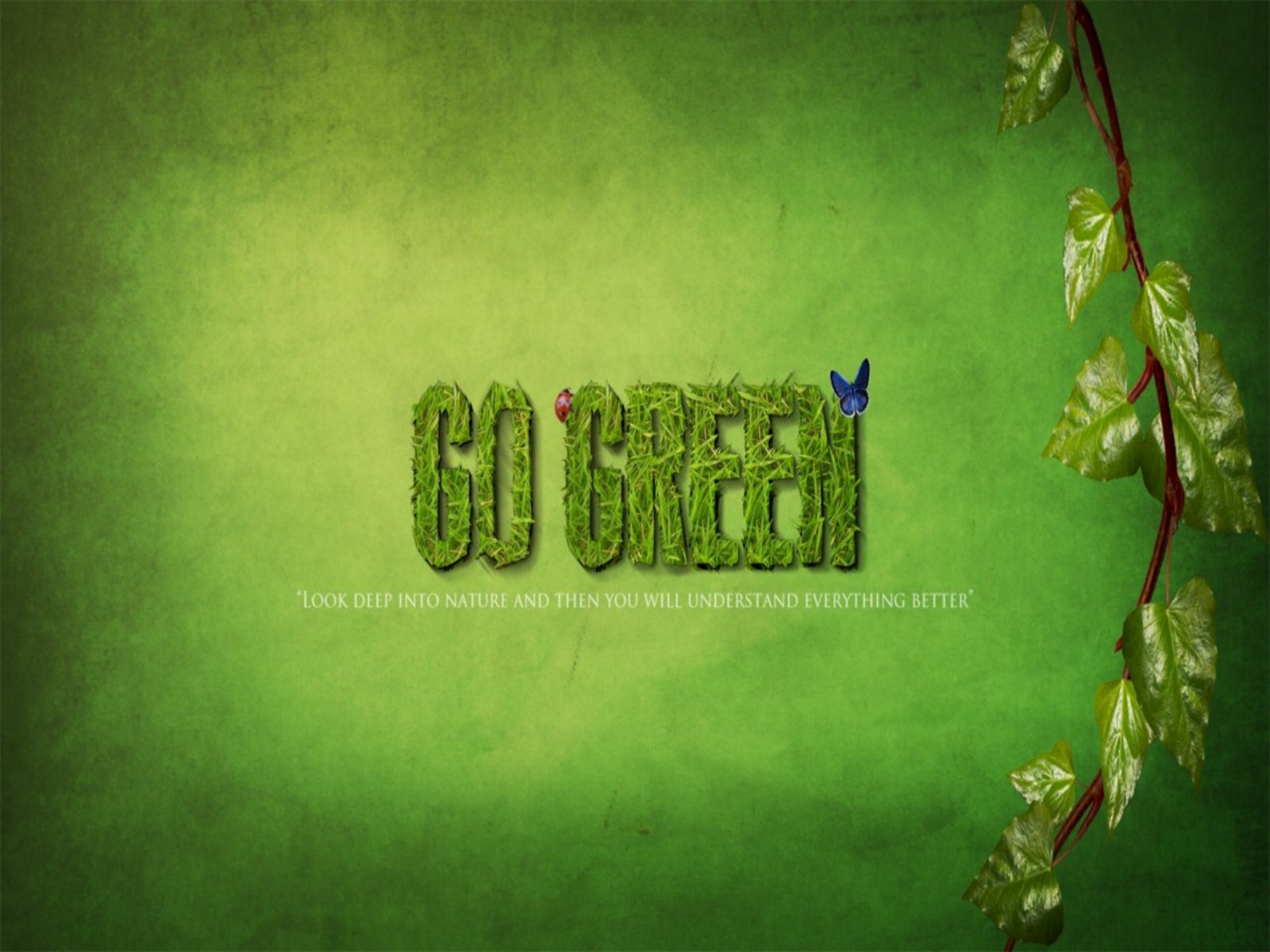 Go Green Wallpapers - Wallpaper HD Base
