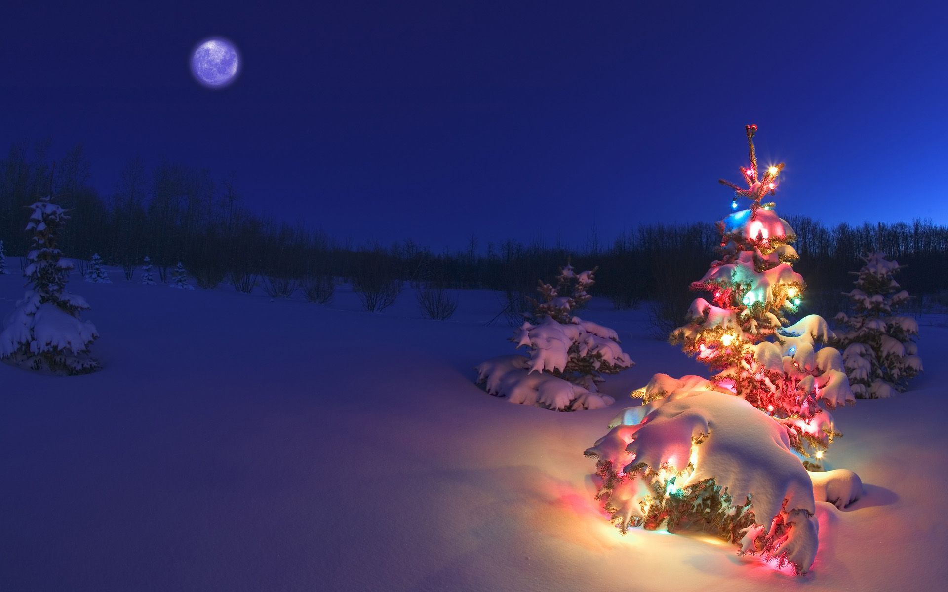 Wallpaper Of A Christmas Tree In Snowy Night | Free Wallpaper World