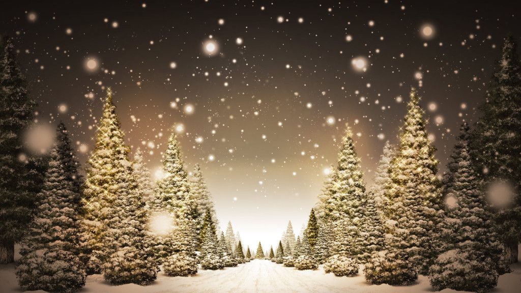 Christmas Trees Wallpaper 1080p