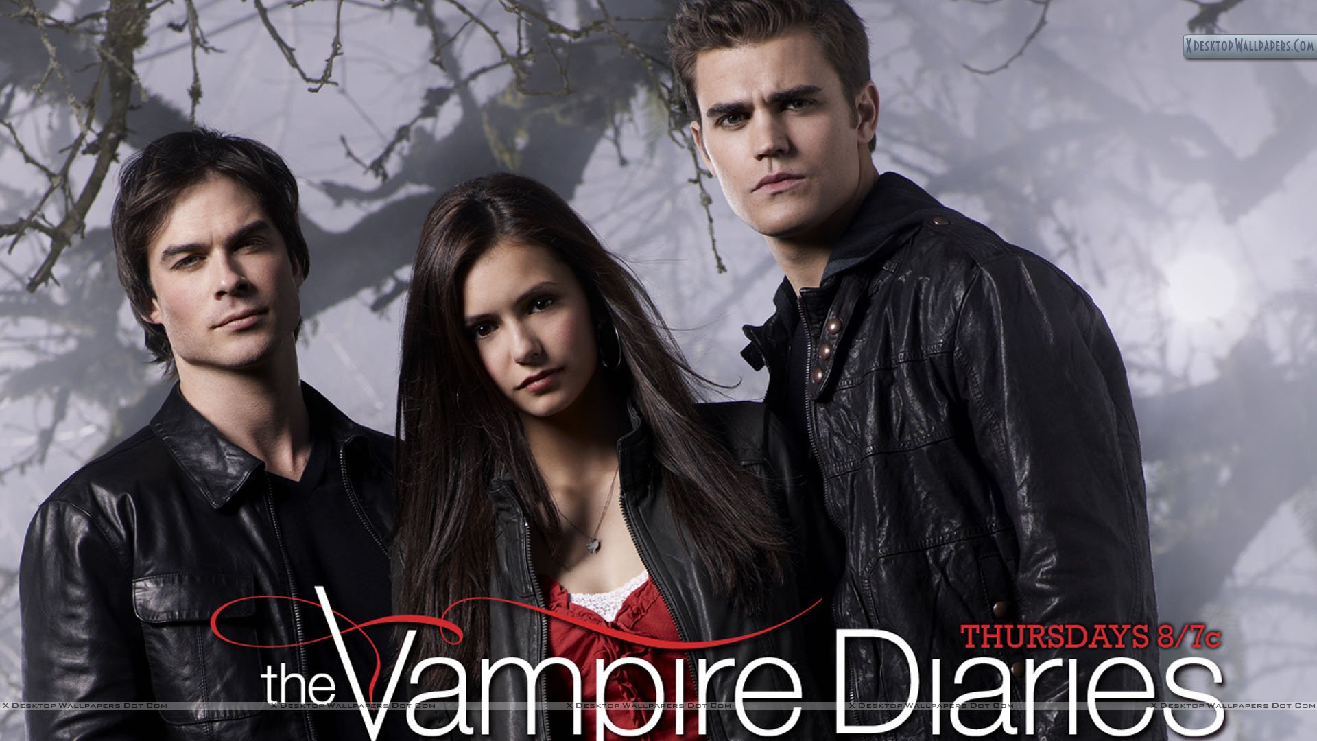 The Vampire Diaries Damon, Elena And Stefan Wallpaper