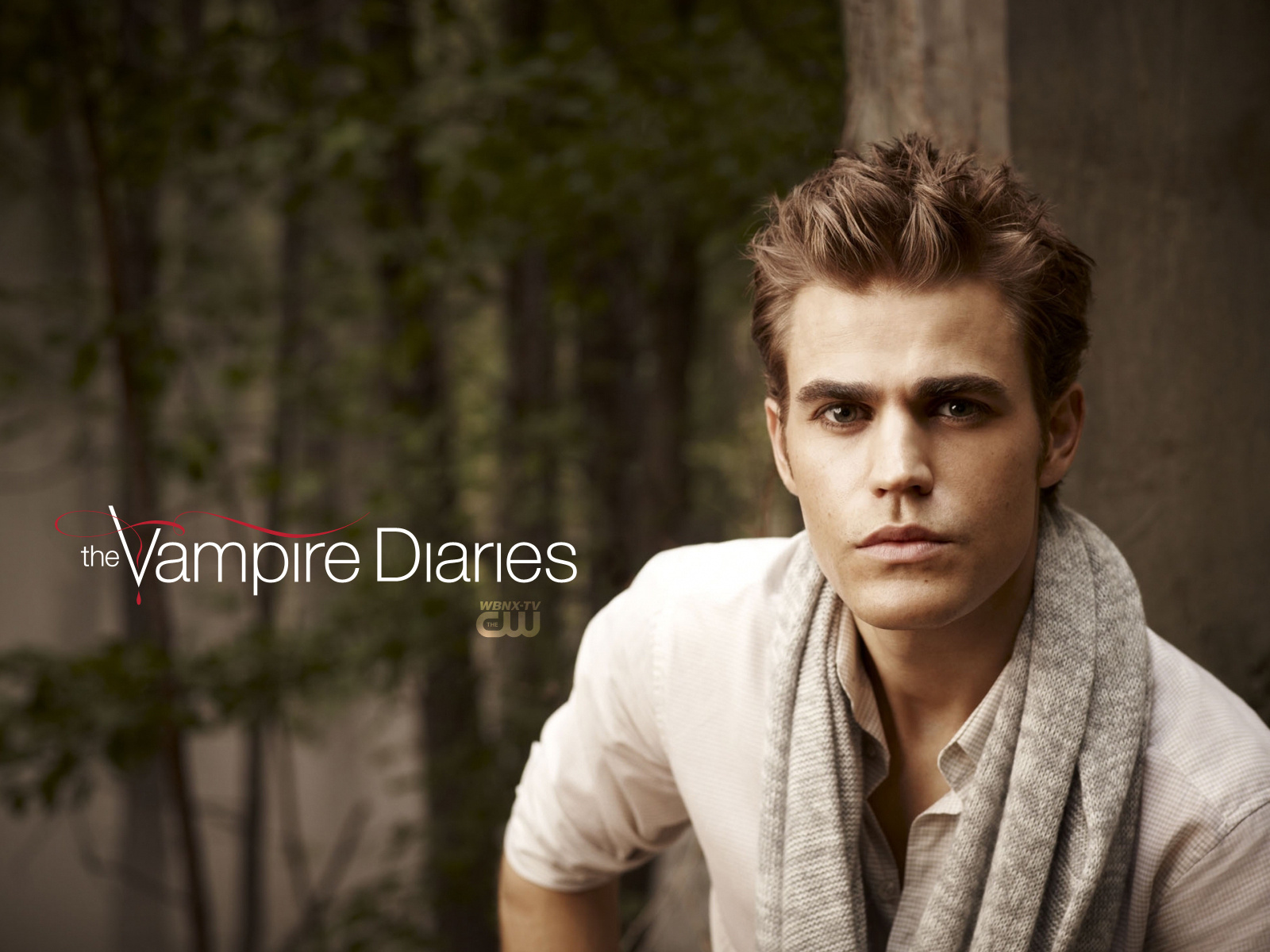 Wallpaper Stefan Salvatore, The Vampire Diaries, actor desktop ...