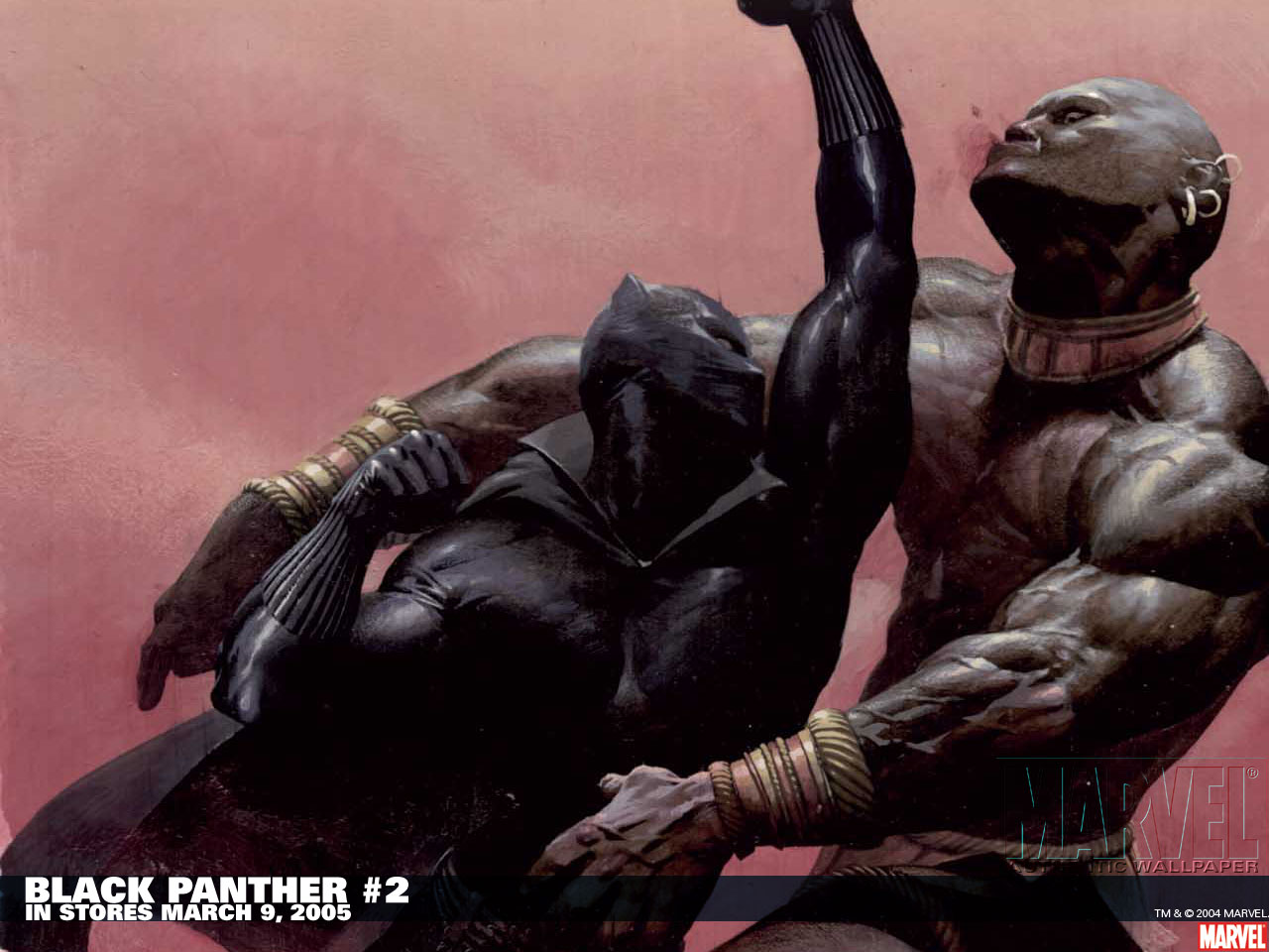49 Black Panther HD Wallpapers Backgrounds - Wallpaper Abyss