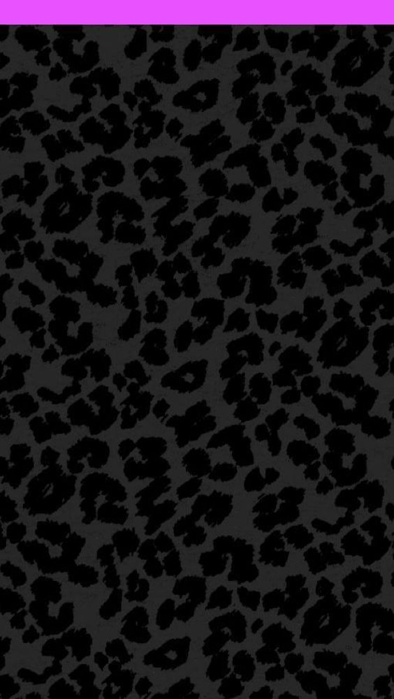 Black Cheetah Print Created by Andrea www.kentuckybabiee.com