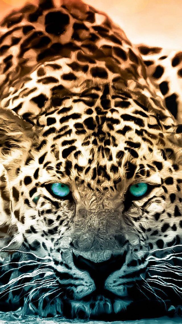 iPhone Cheetah Wallpapers