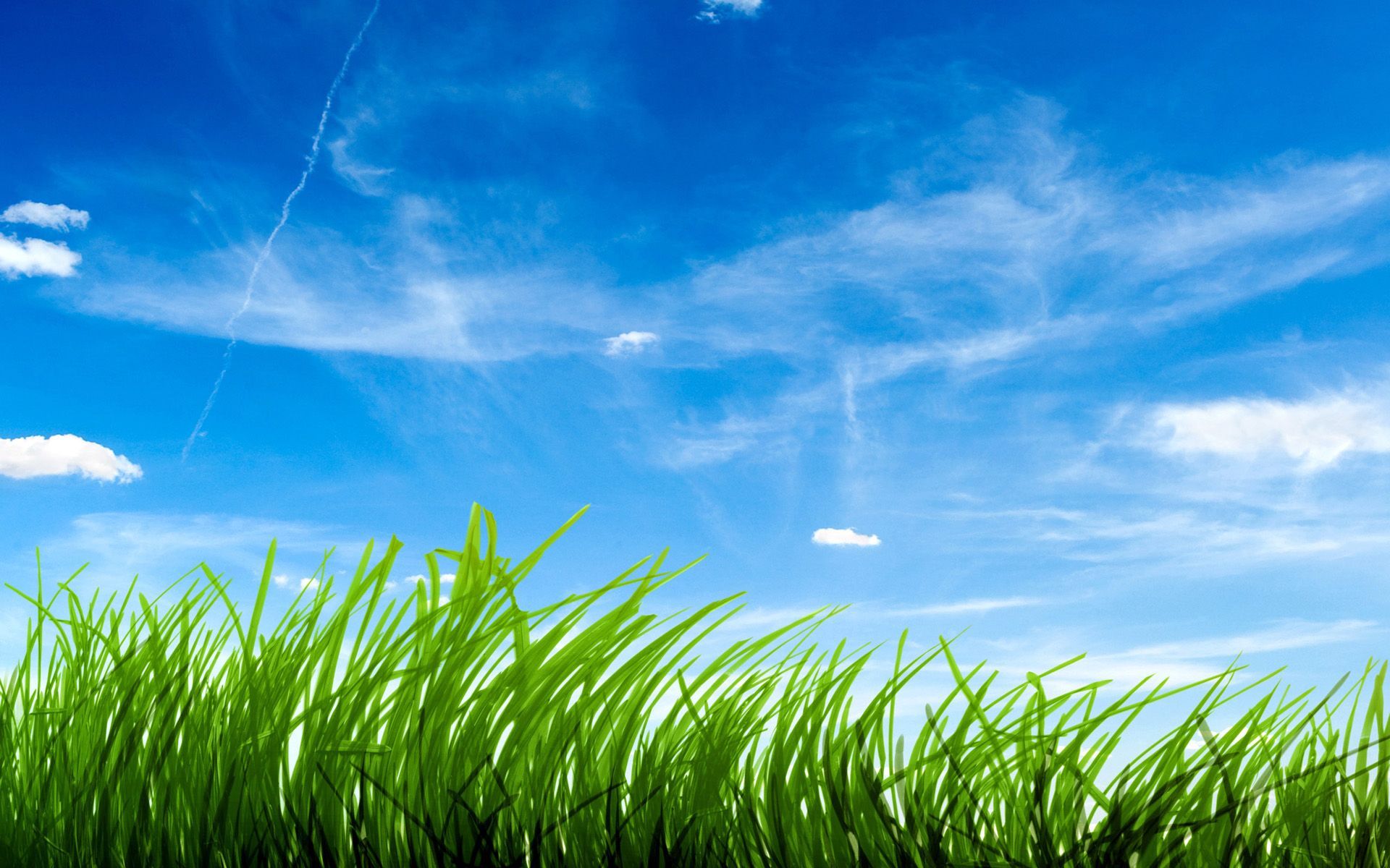 Grass Sky Wallpapers Group (77+)