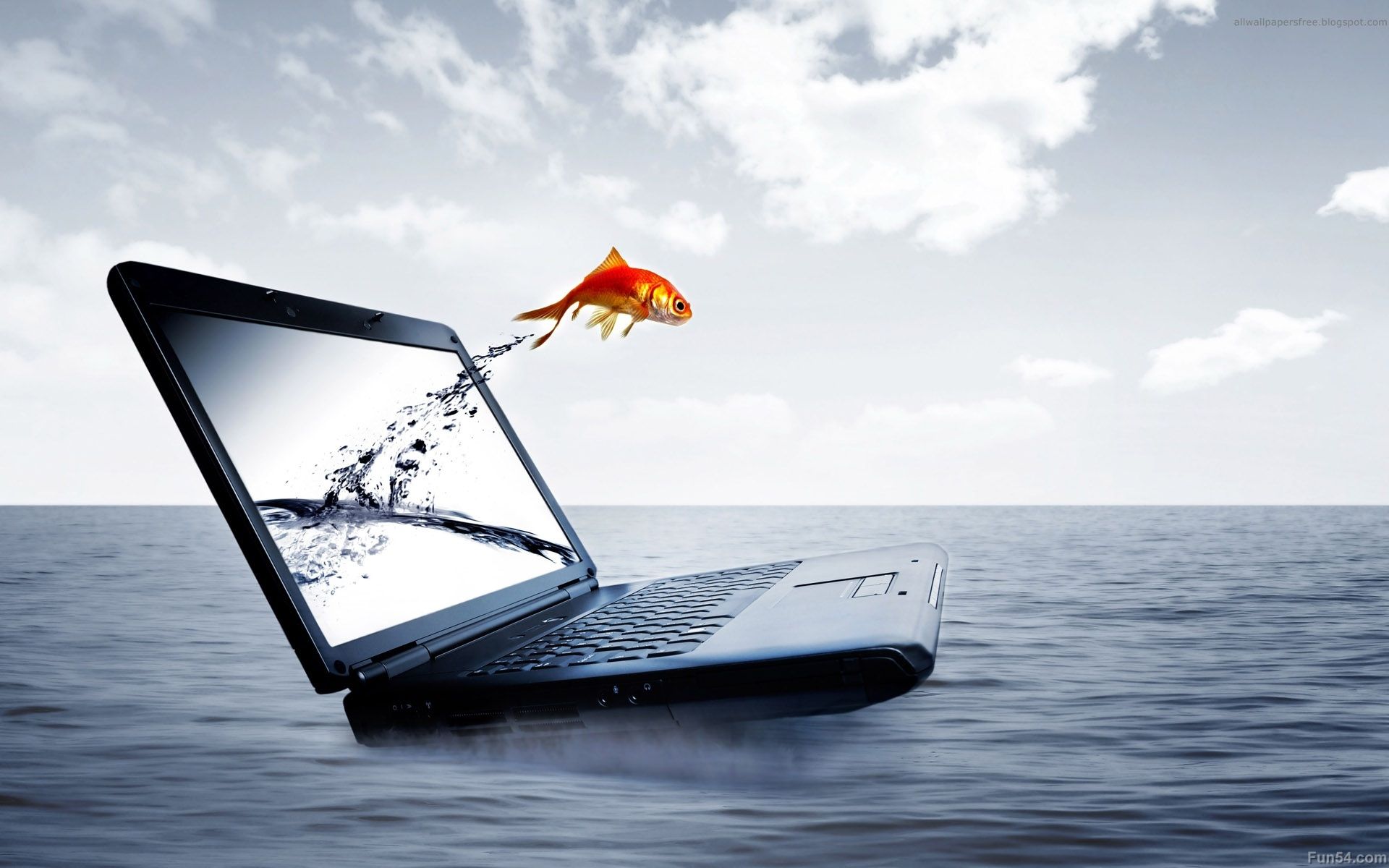 Fish with a laptop screen HP wallpapers and images - wallpapers ...