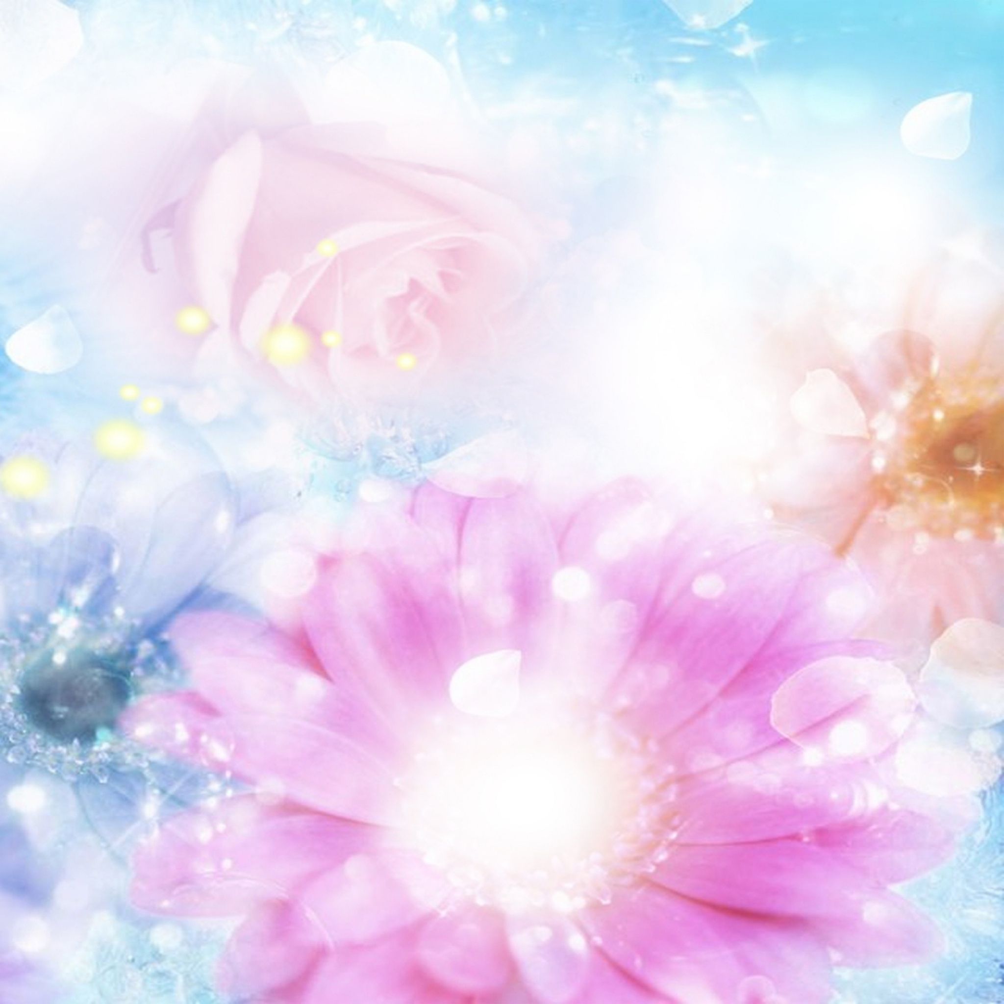 Download Wallpaper 2048x2048 Pink, Blue, Flowers, Blurred ...