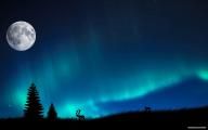 Free Nature wallpaper - Natural wonders of the Northern Lights