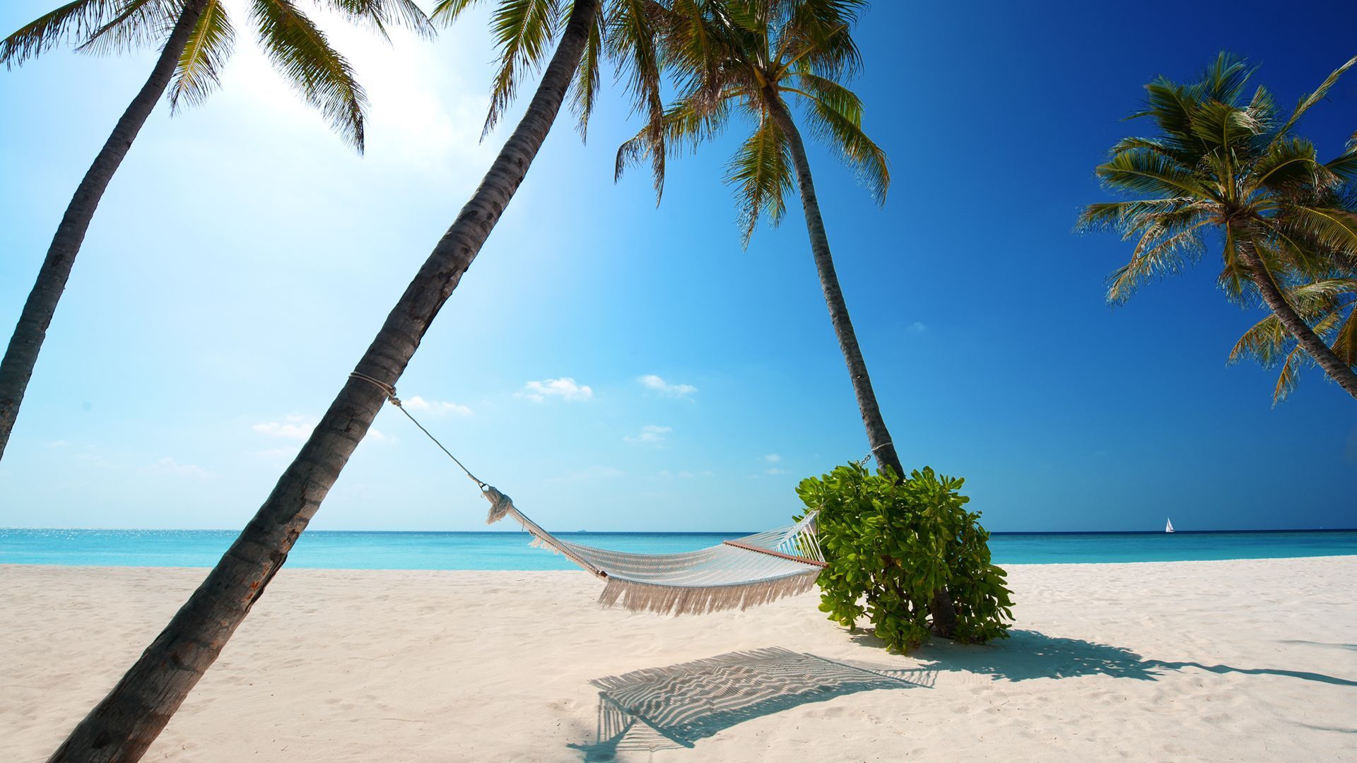 Refresh Your PC Screen Using Beach Wallpaper Beach by Free
