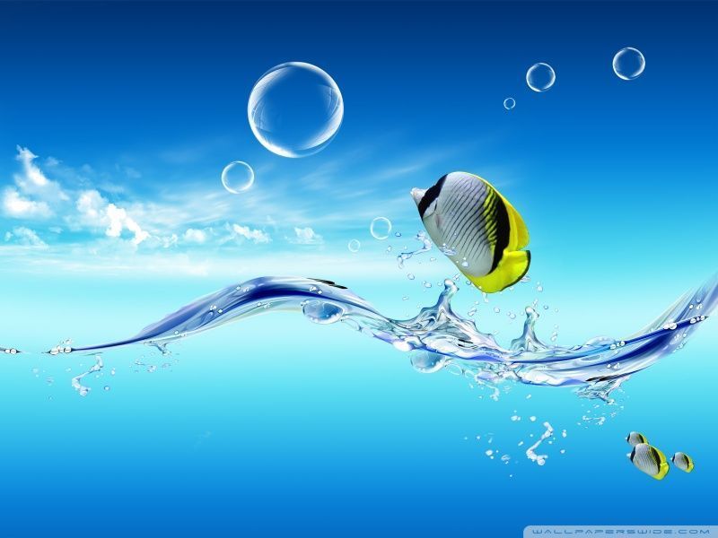 Fish Jumping Out Of The Water HD desktop wallpaper : Widescreen ...